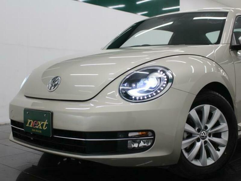 THE BEETLE