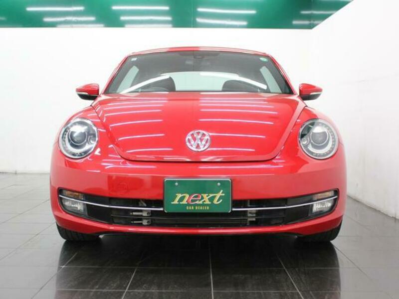 THE BEETLE