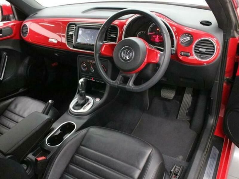 THE BEETLE