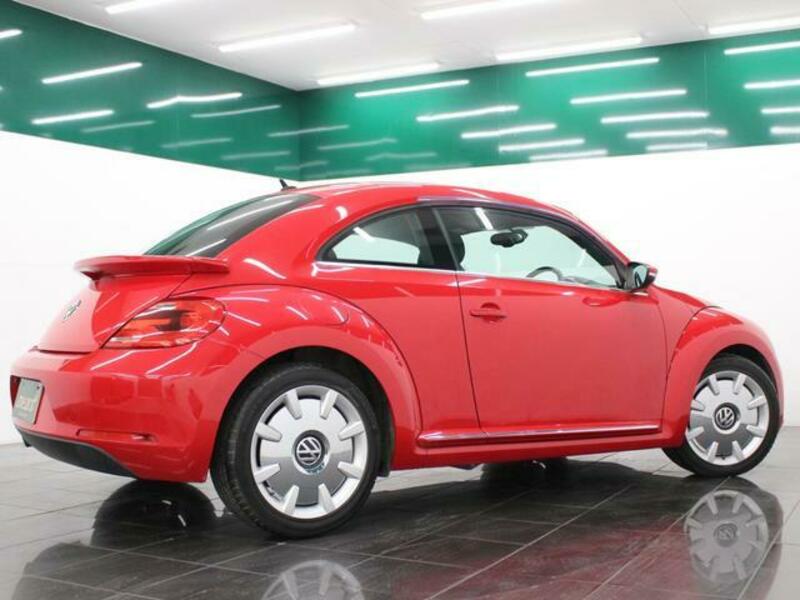 THE BEETLE