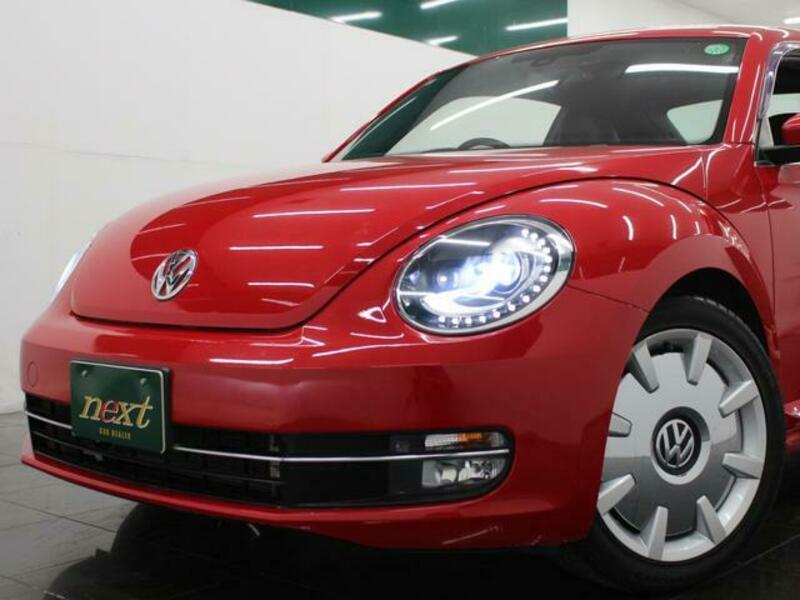 THE BEETLE