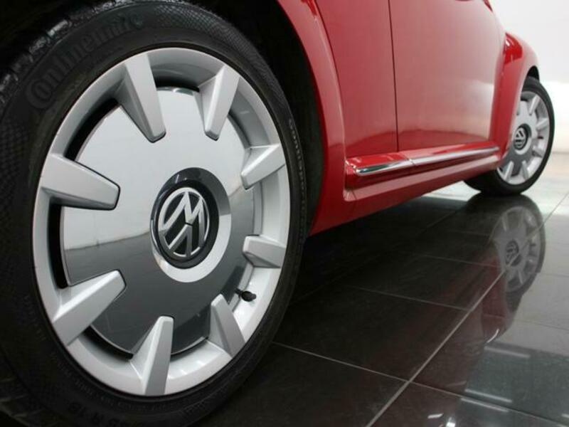 THE BEETLE