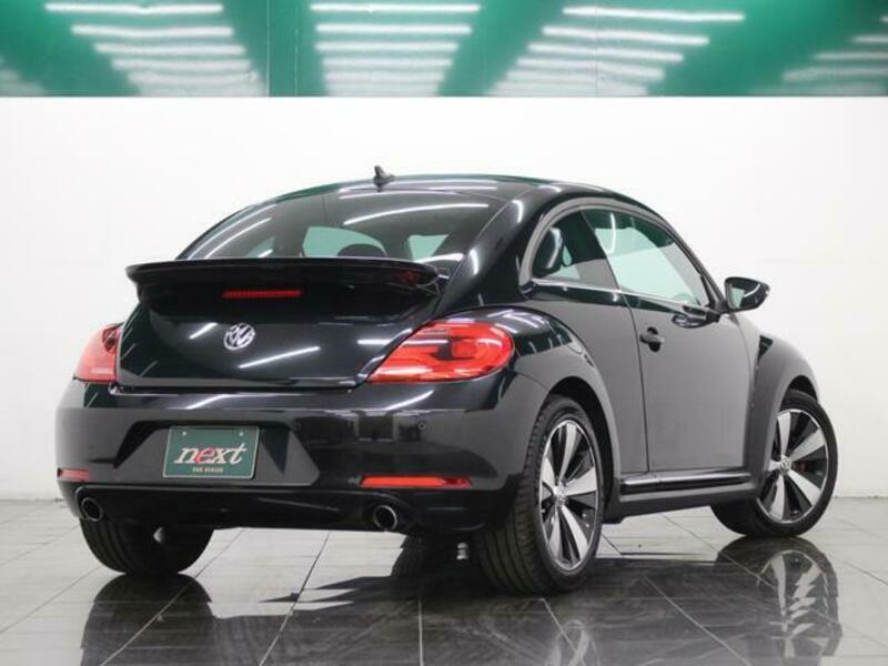 THE BEETLE
