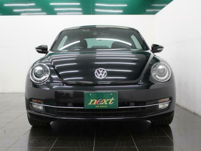 THE BEETLE