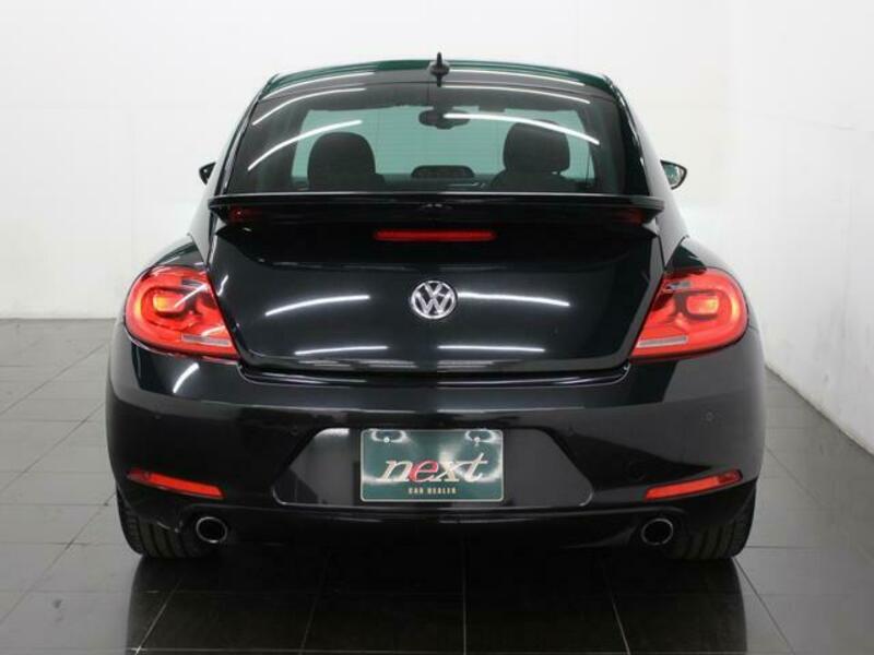 THE BEETLE