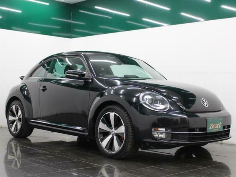 THE BEETLE