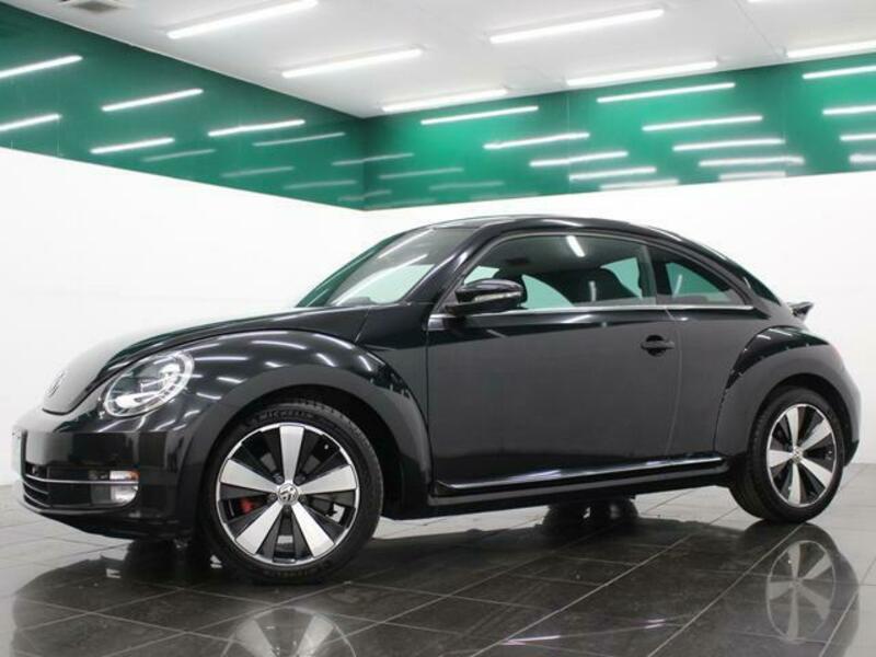 THE BEETLE