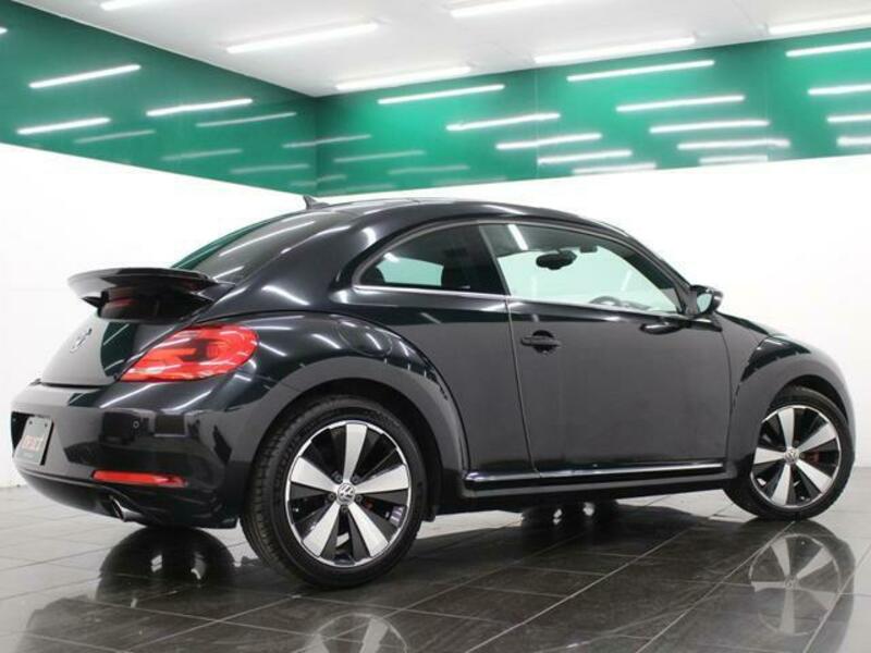 THE BEETLE