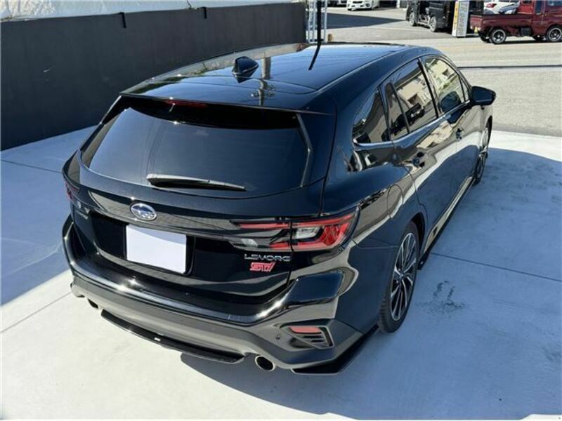 LEVORG