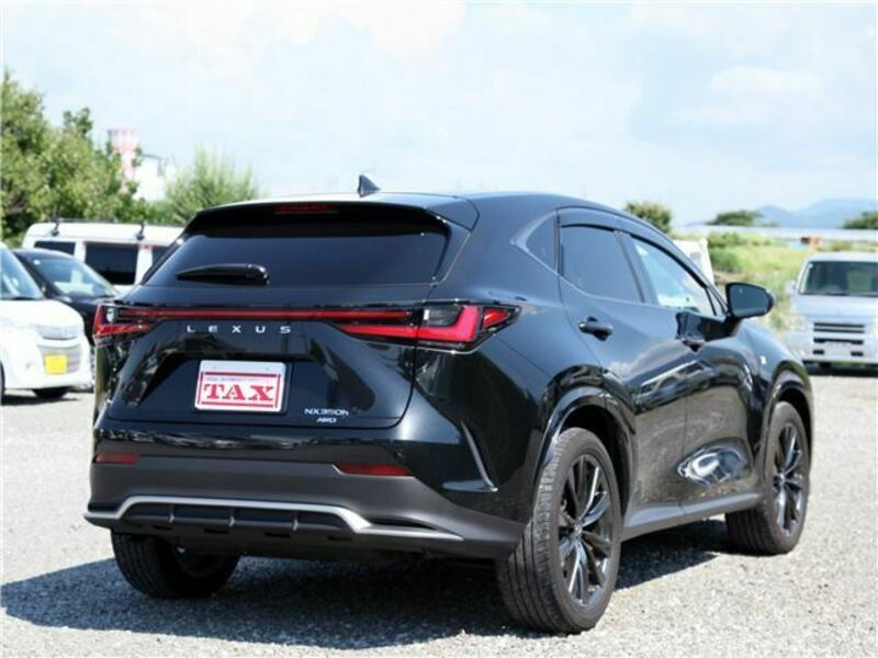 NX