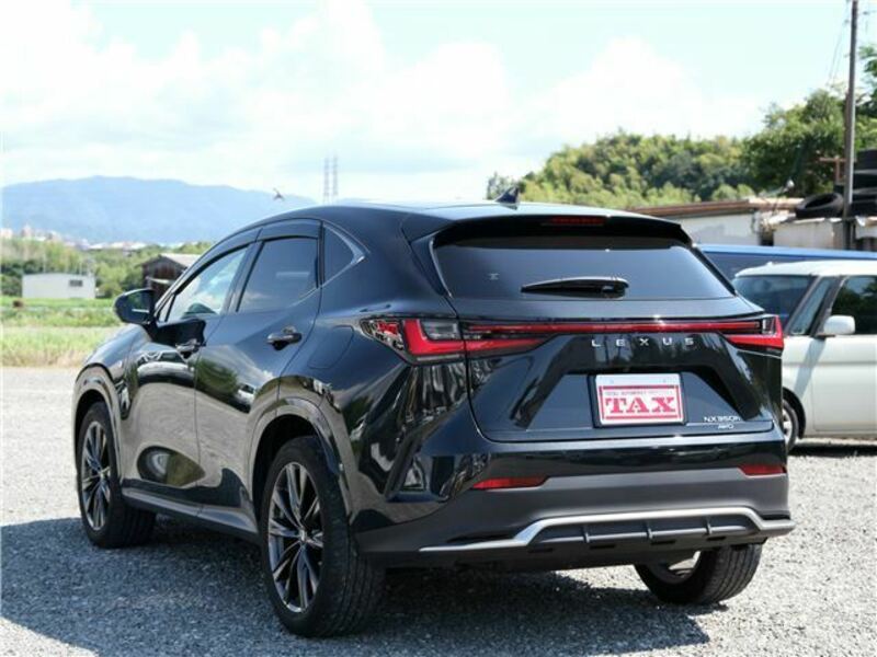 NX