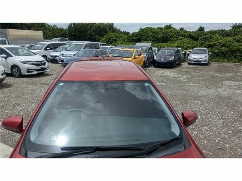 AURIS