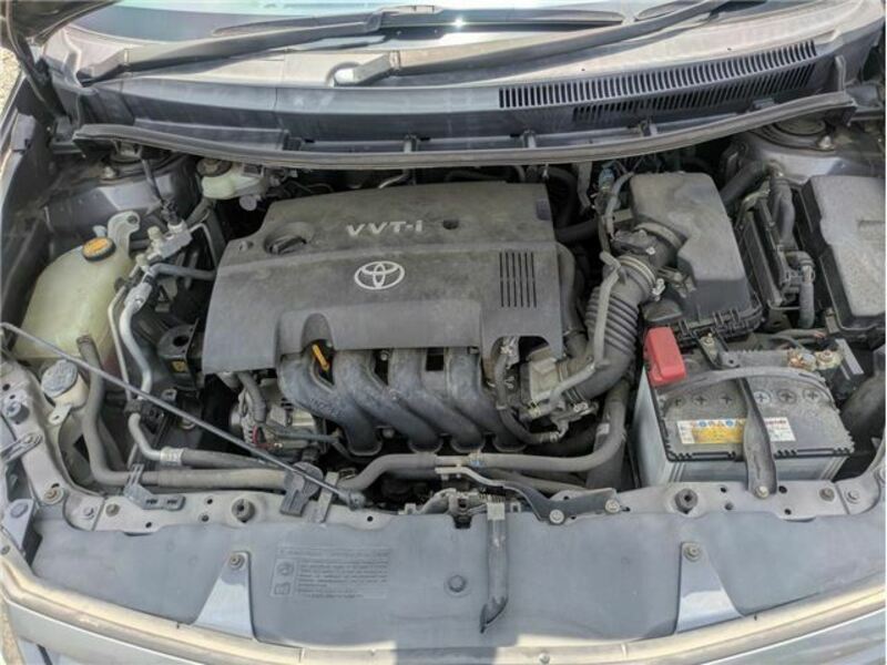 AURIS