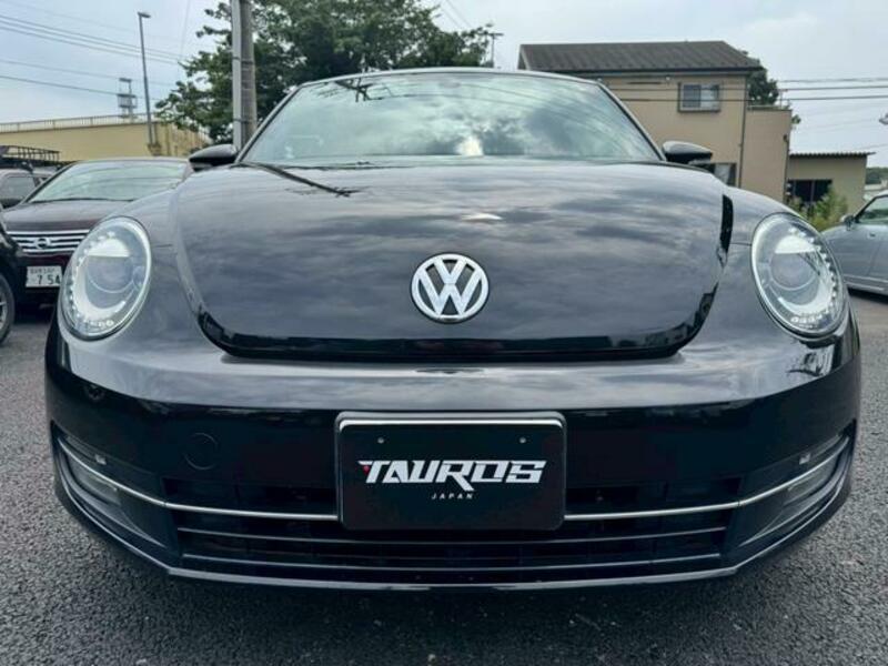THE BEETLE