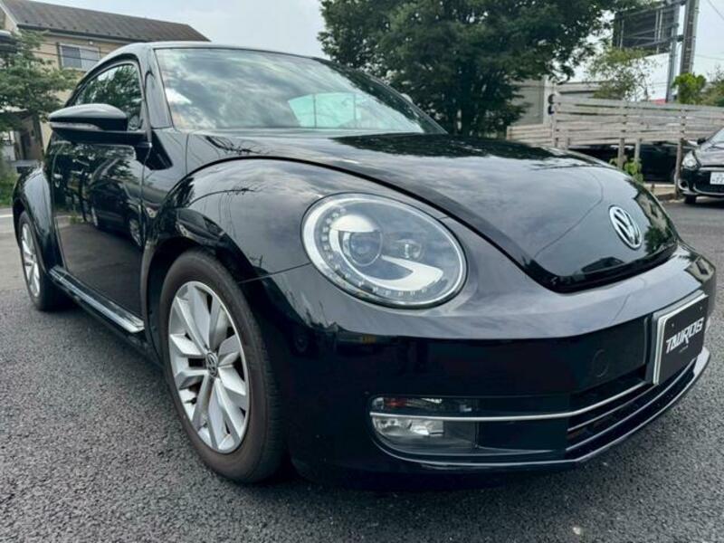 THE BEETLE