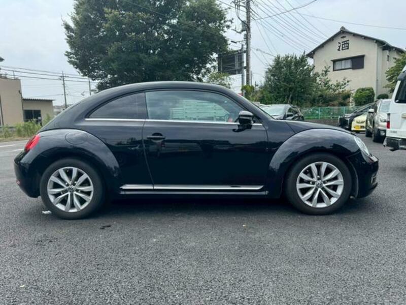 THE BEETLE