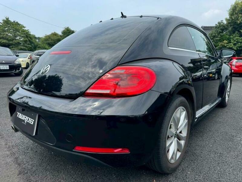 THE BEETLE