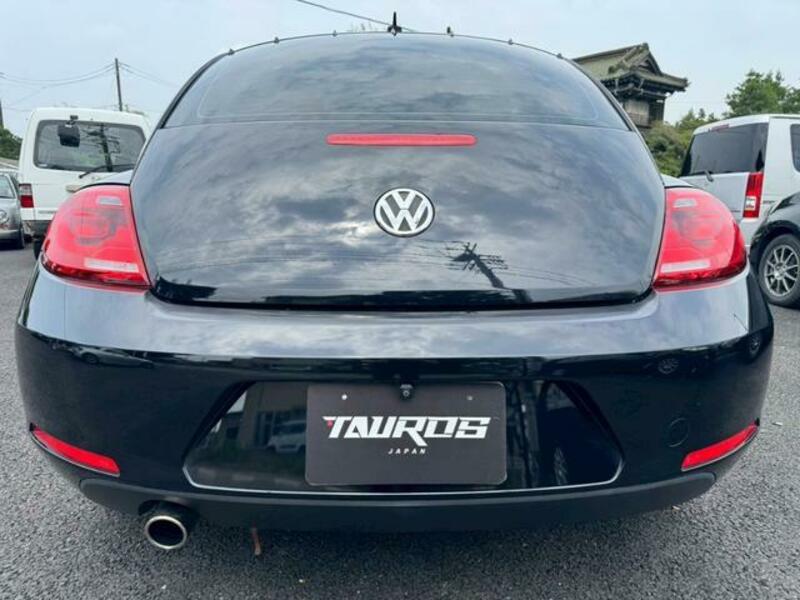 THE BEETLE