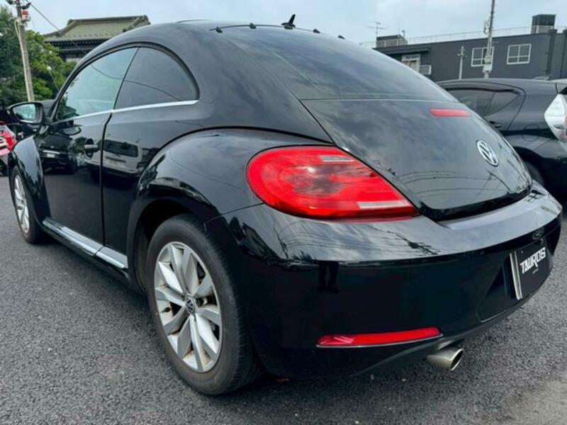 THE BEETLE