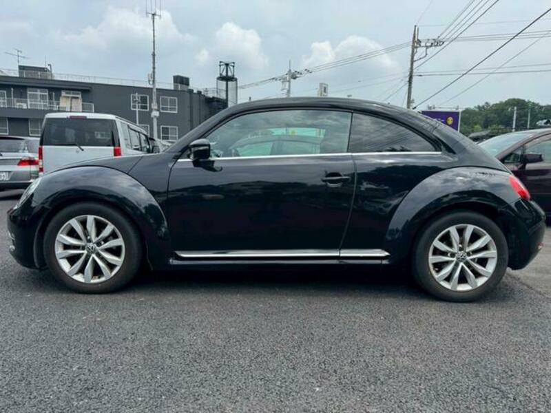 THE BEETLE