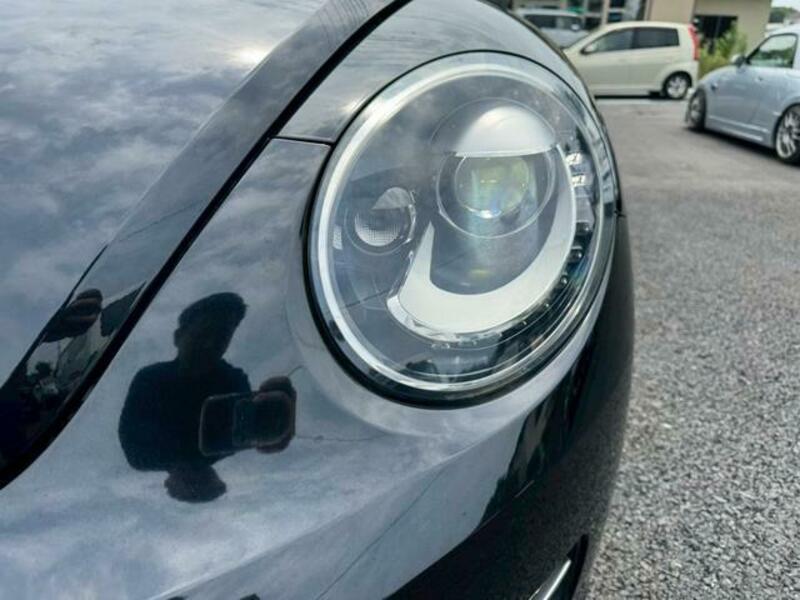 THE BEETLE