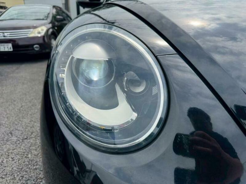 THE BEETLE