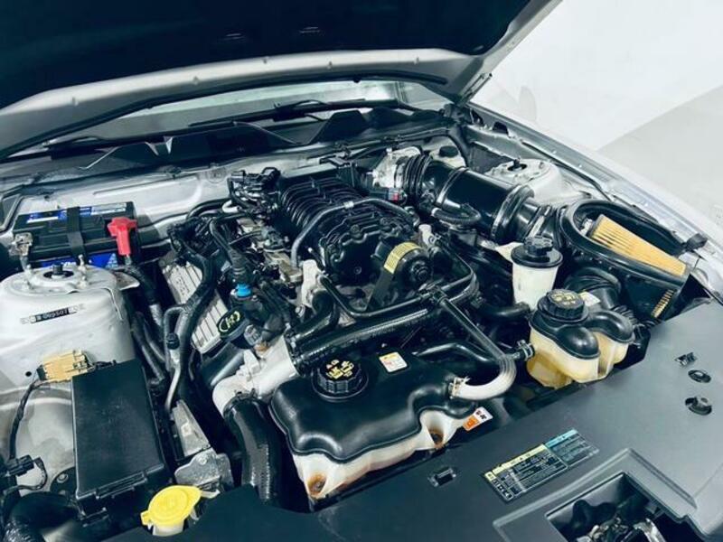 MUSTANG