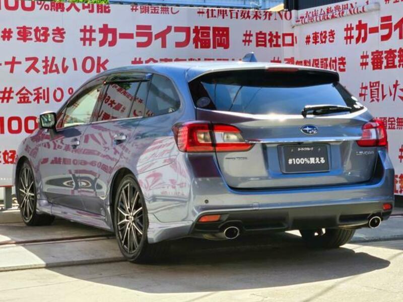 LEVORG