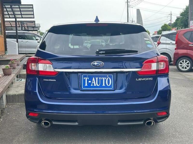 LEVORG
