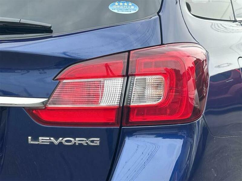 LEVORG