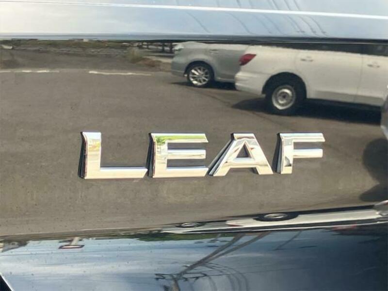 LEAF