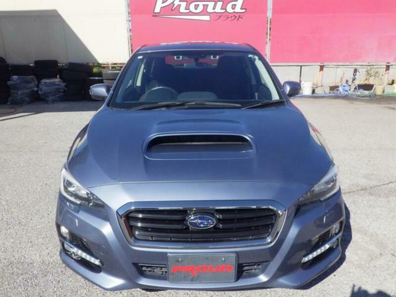 LEVORG