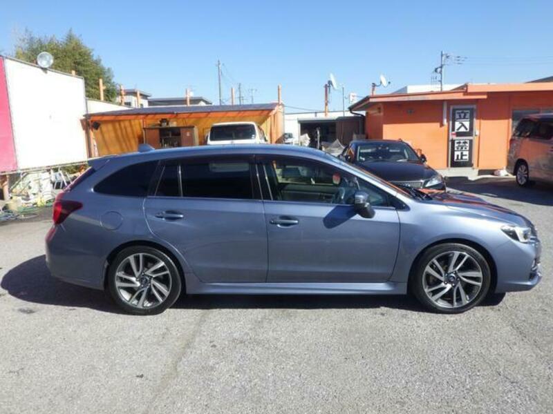 LEVORG
