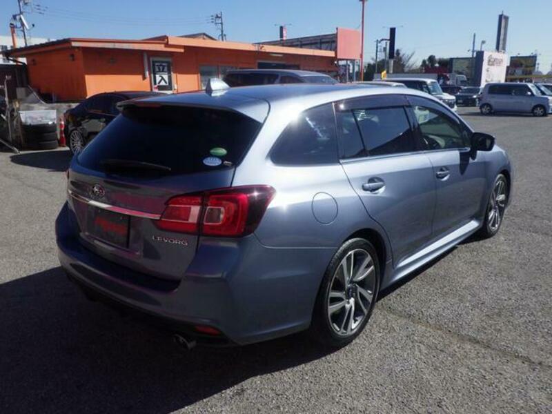 LEVORG