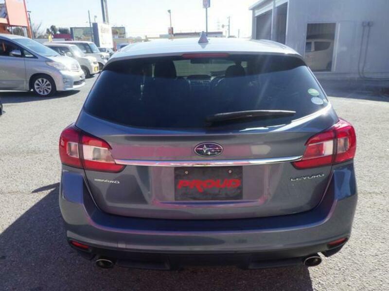 LEVORG