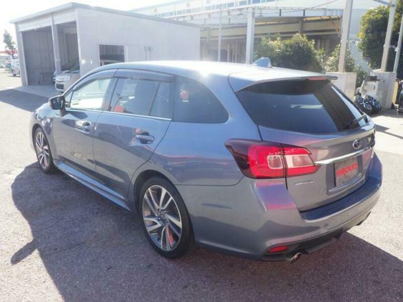 LEVORG