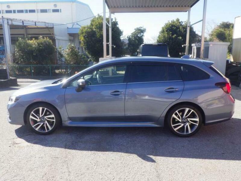LEVORG