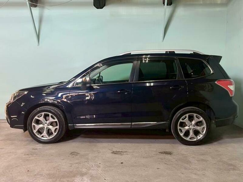 FORESTER