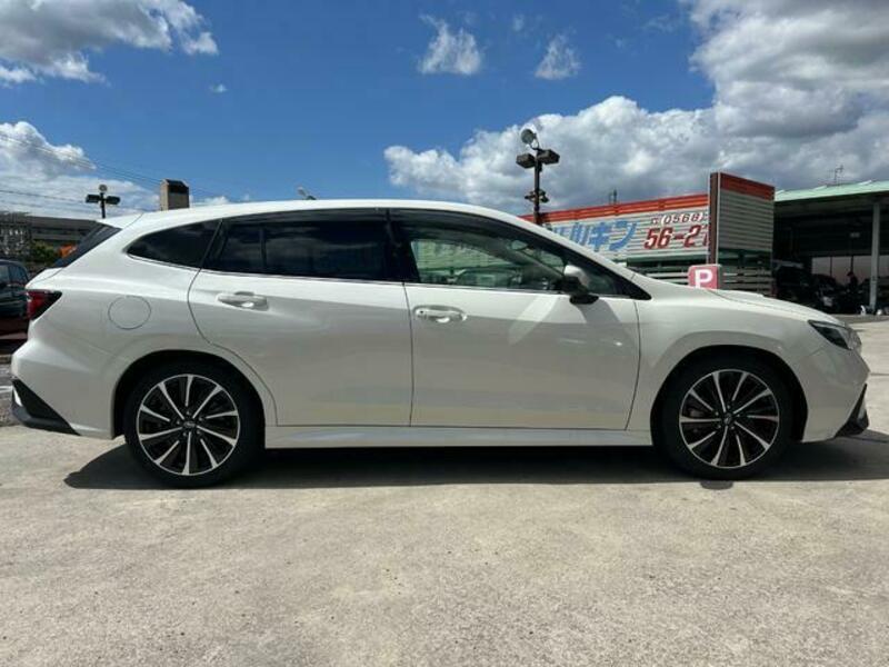 LEVORG