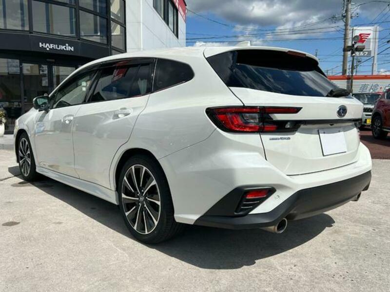 LEVORG