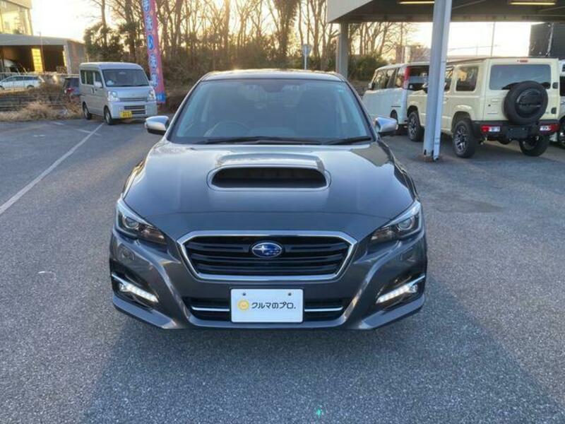 LEVORG