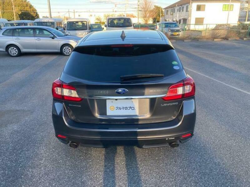 LEVORG
