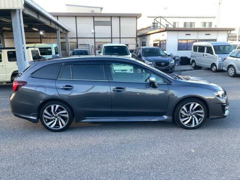 LEVORG