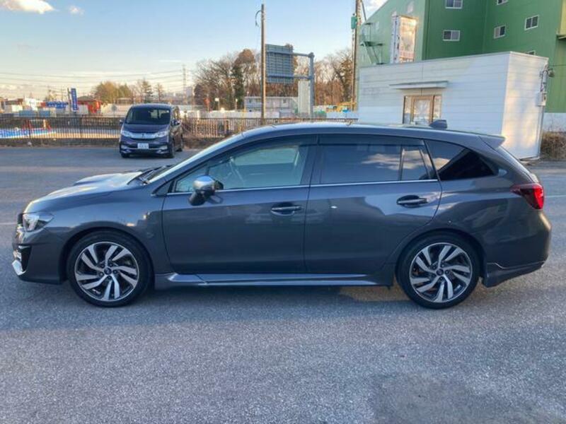 LEVORG