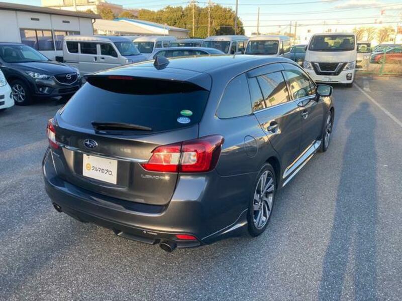 LEVORG
