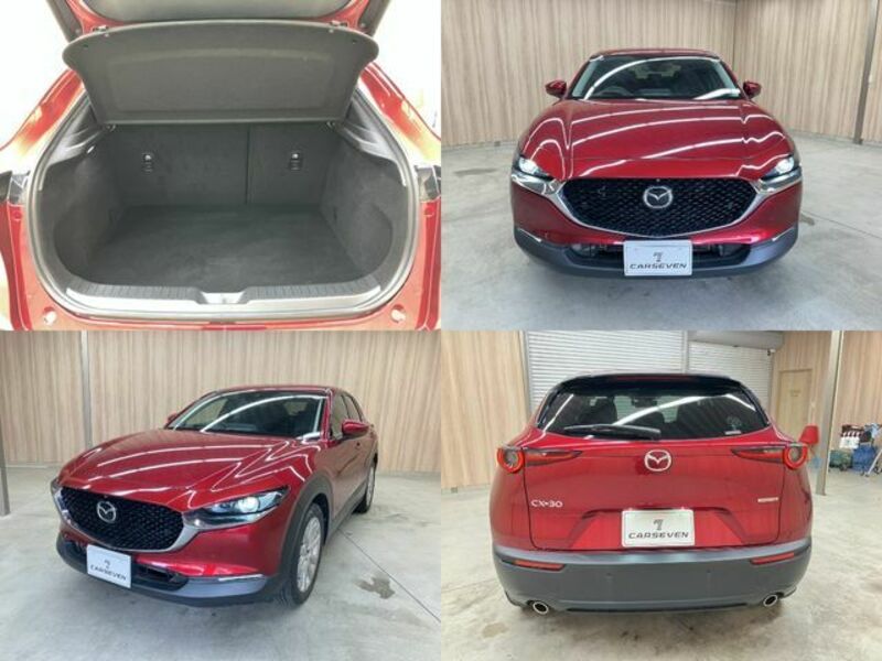 CX-30