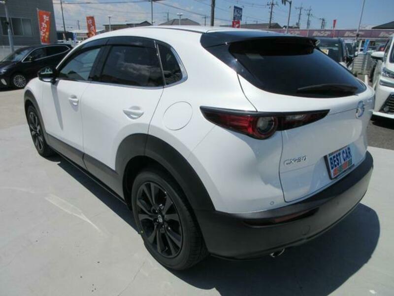 CX-30