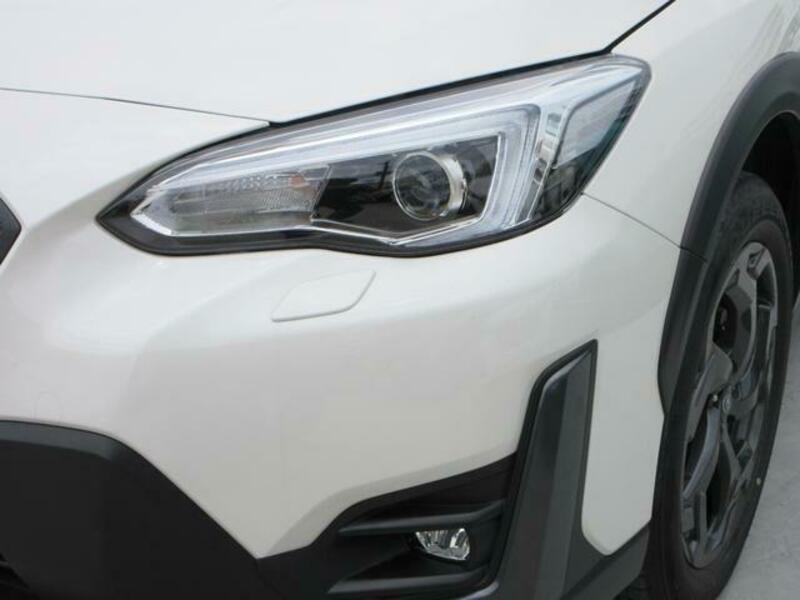 XV