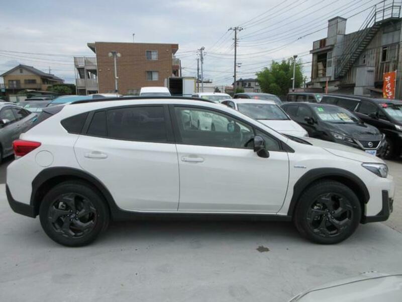 XV