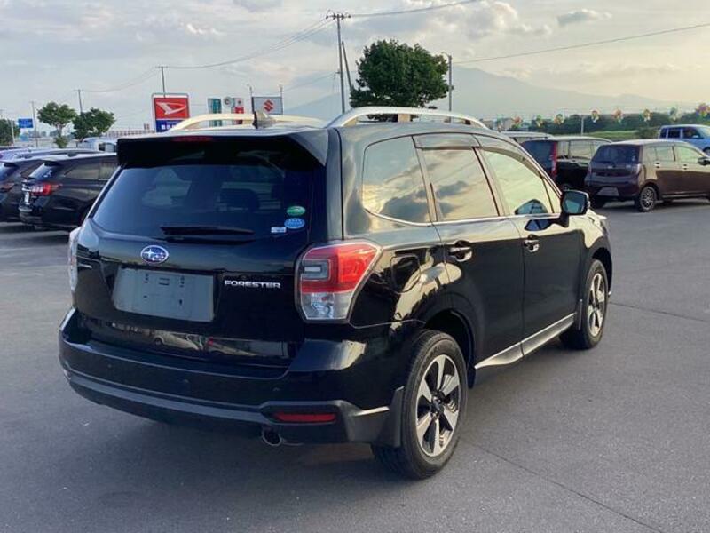 FORESTER
